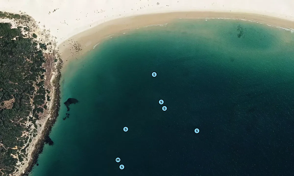 Satelite image of Cala del Tesorillo