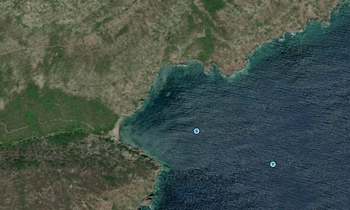 Satelite image of Cala della Carbicina