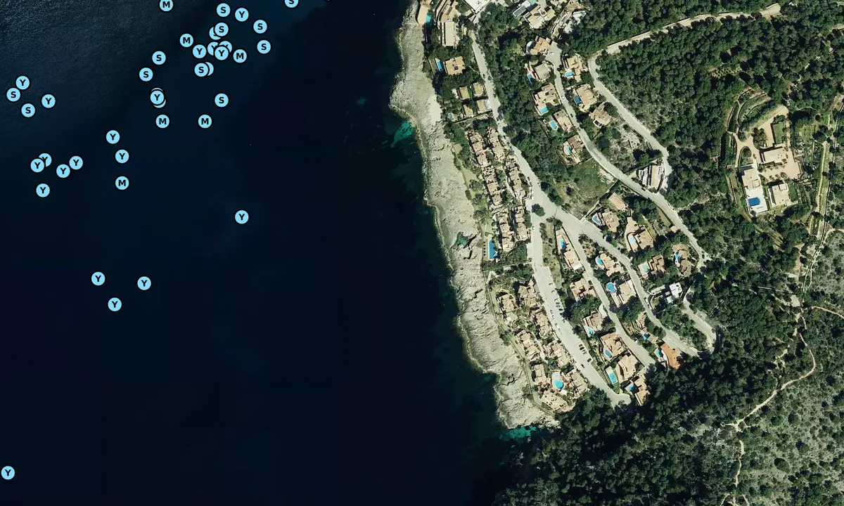 Satelite image of Cala el salinar