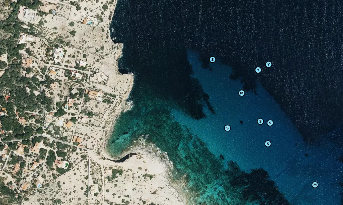 Satelite image of Cala en Baster