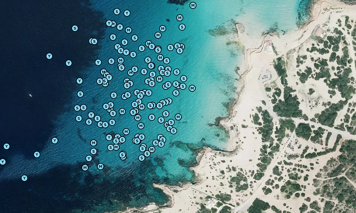 Satelite image of Cala Escondida