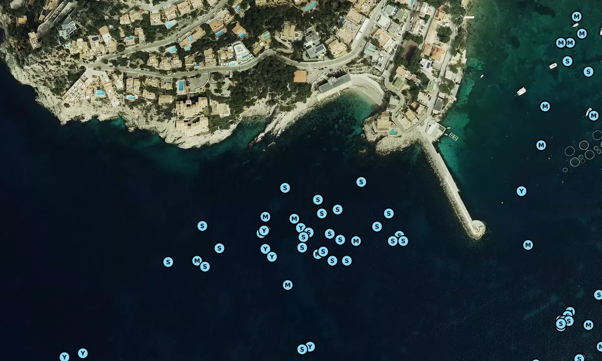 Satelite image of Cala Fonoll