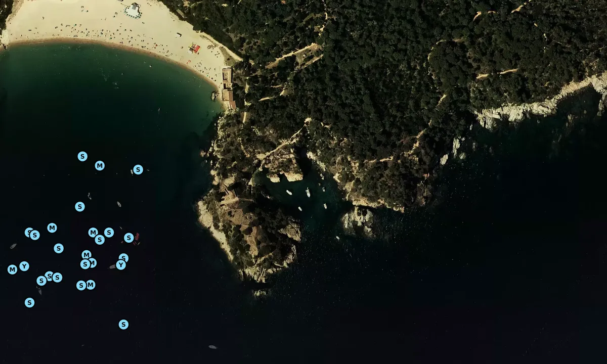 Satelite image of Cala Foradada