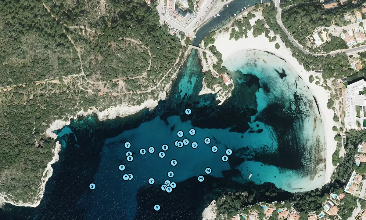 Satelite image of Cala Galdana - Serpentona