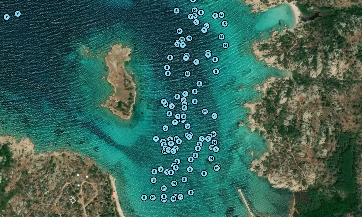 Satelite image of Cala Garibaldi