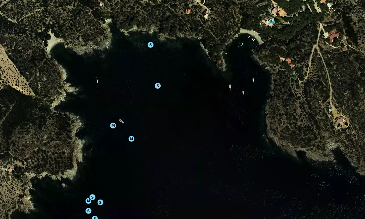 Satelite image of Cala Guillola