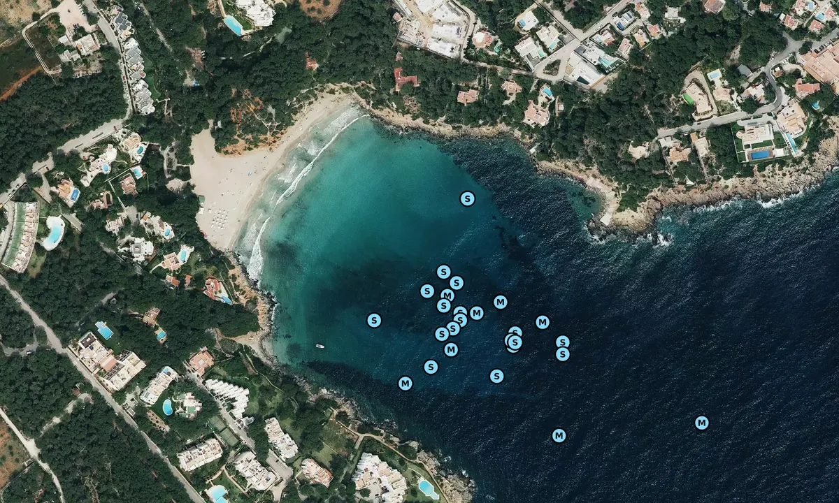 Satelite image of Cala Llenya