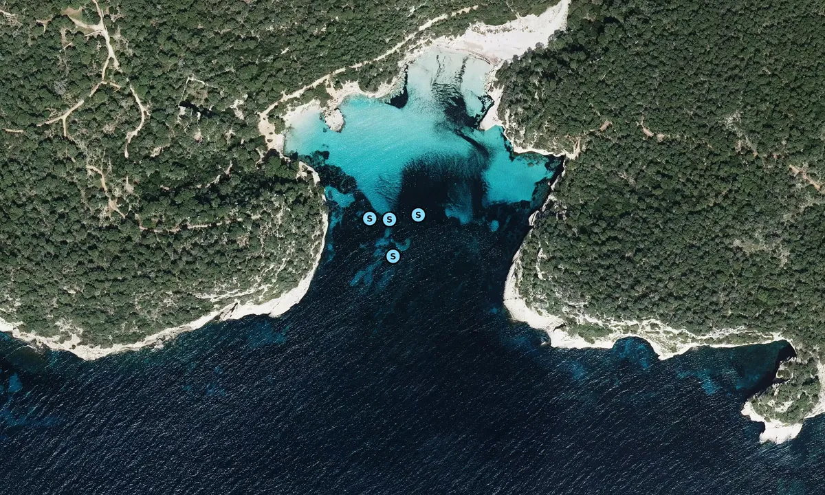 Satelite image of Cala Mitjana