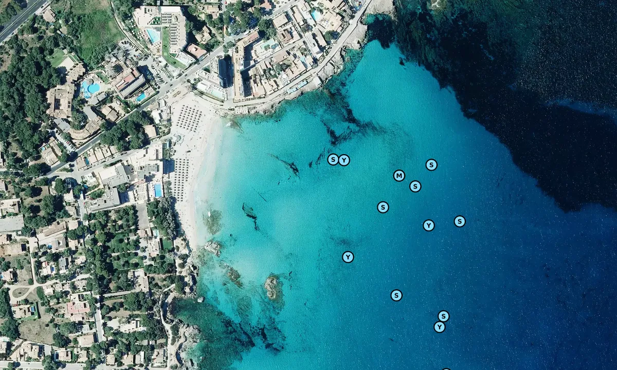 Satelite image of Cala Moll