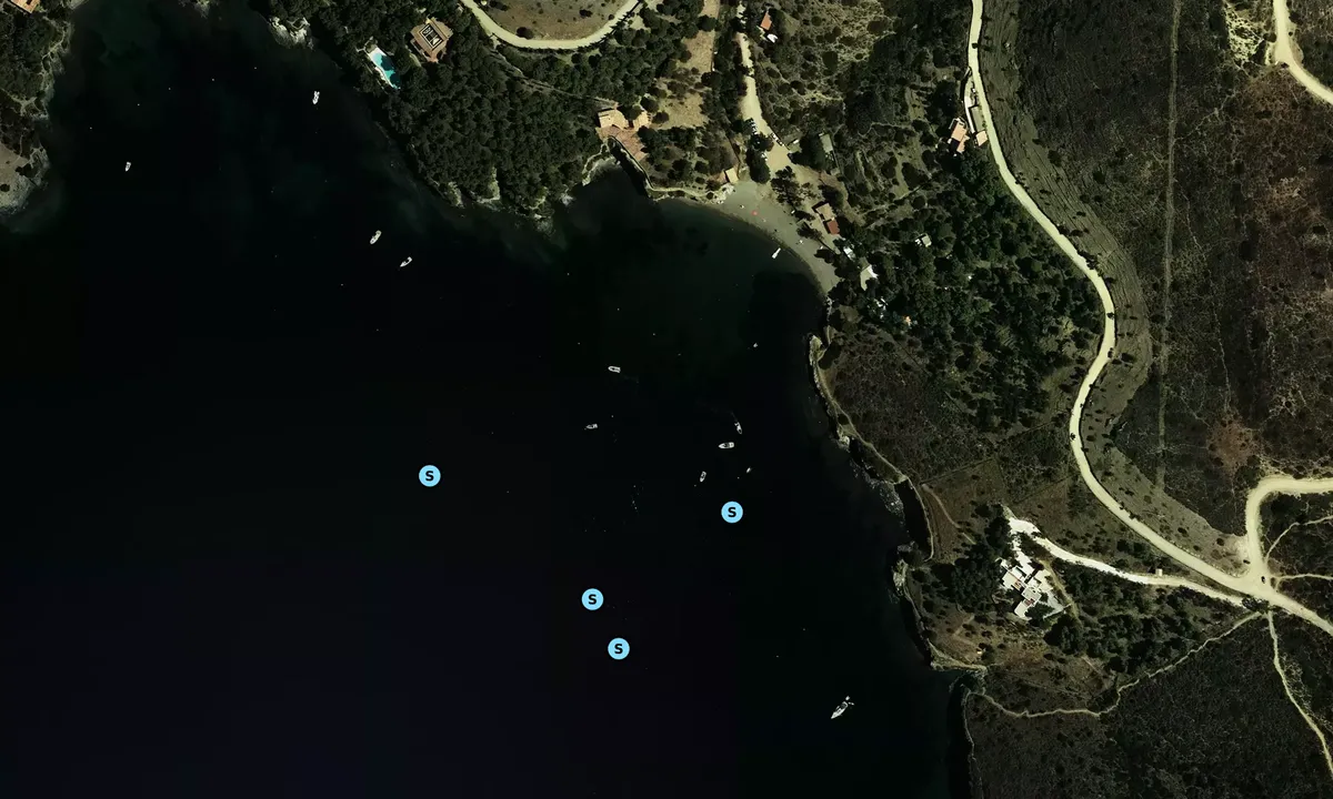 Satelite image of cala pelosa