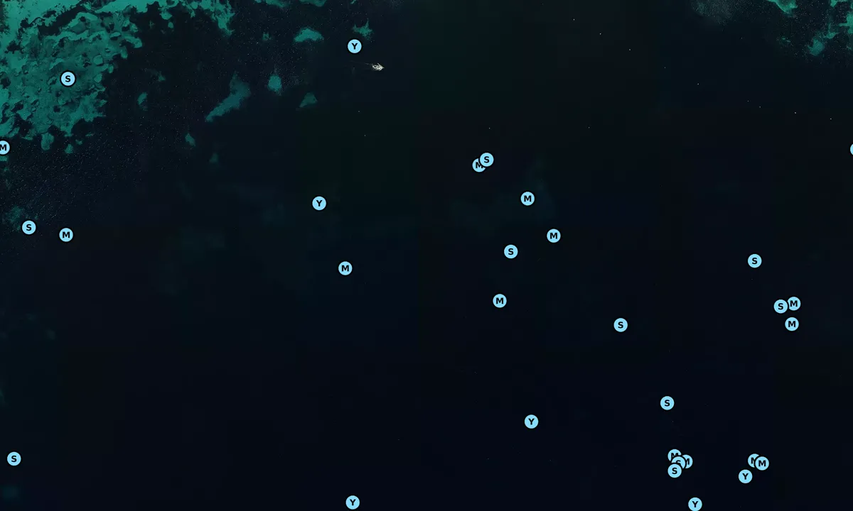 Satelite image of Cala Pi de la Posada