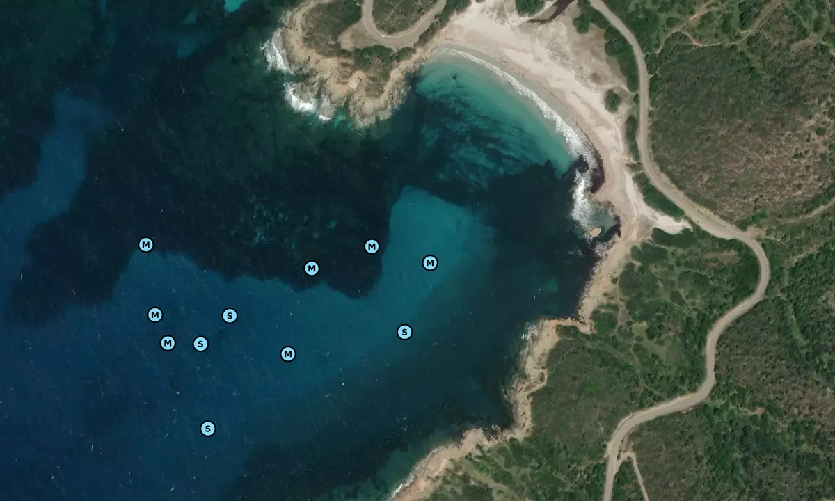 Satelite image of Cala PIscinni