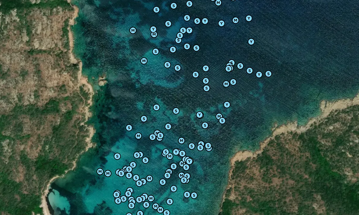 Satelite image of Cala Portese