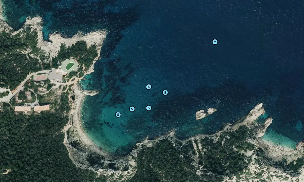 Satelite image of Cala Punta Grossa