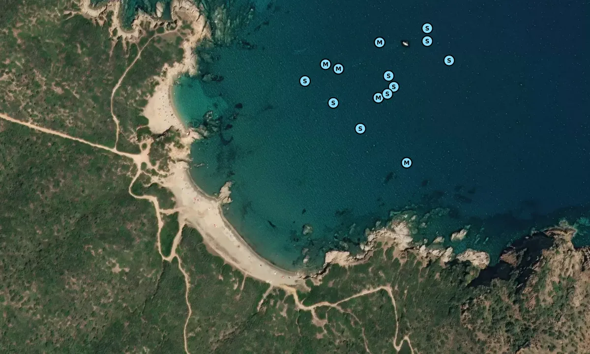 Satelite image of Cala sa Figu