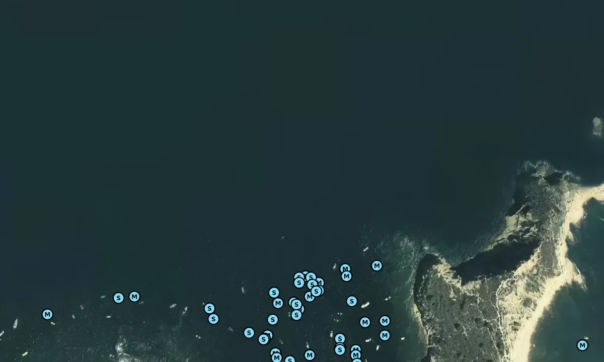 Satelite image of Cala Sardinera 1