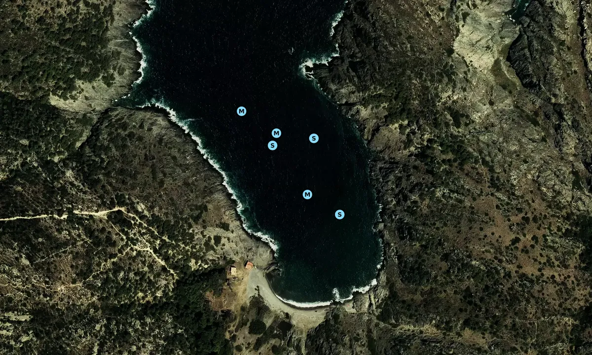 Satelite image of Cala Tavallera