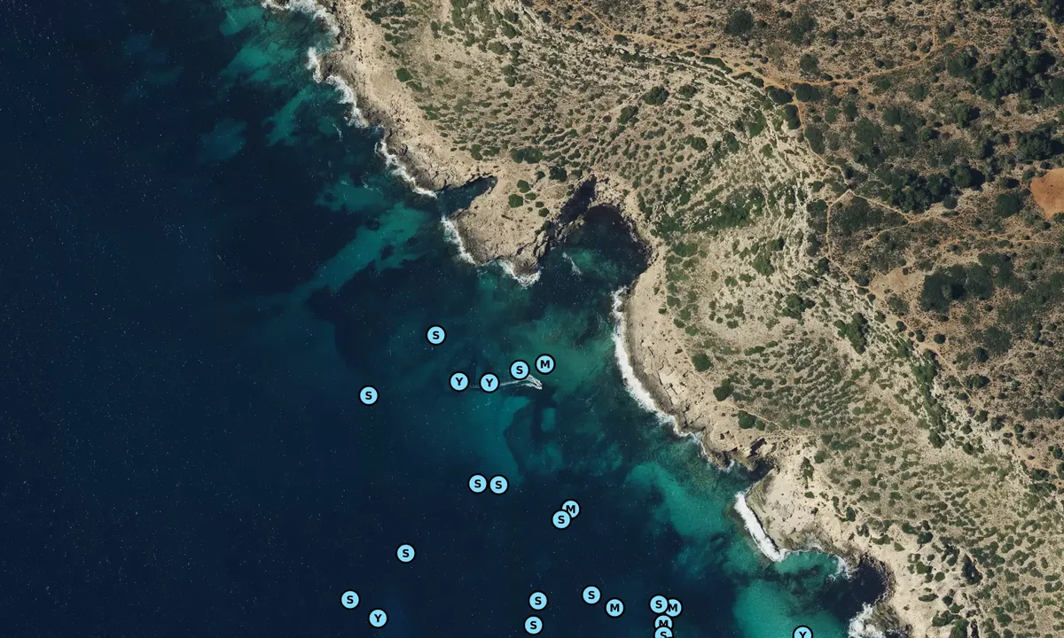 Satelite image of Cala Vella