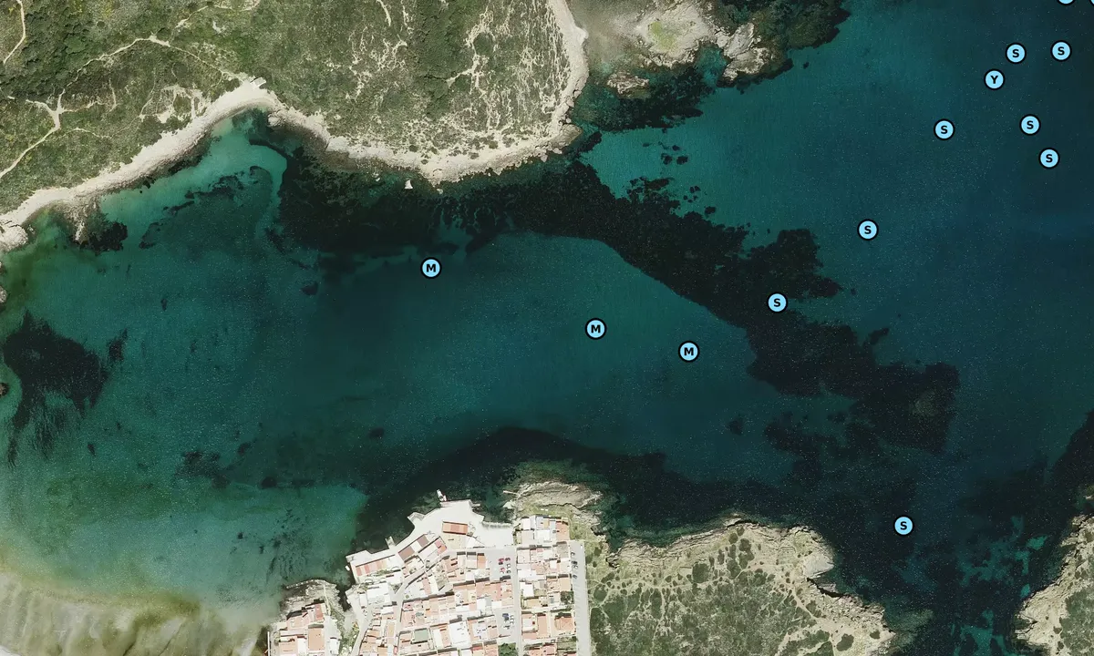 Satelite image of Cala Vellana