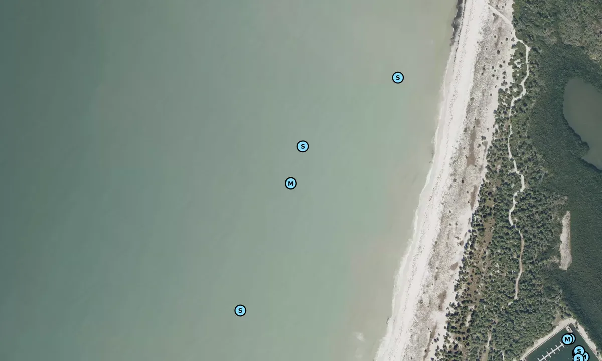Satelite image of Caladesi Island