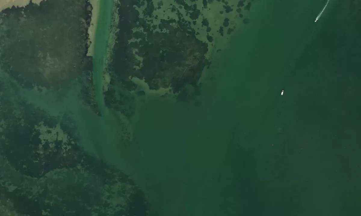 Satelite image of Caladesi Park