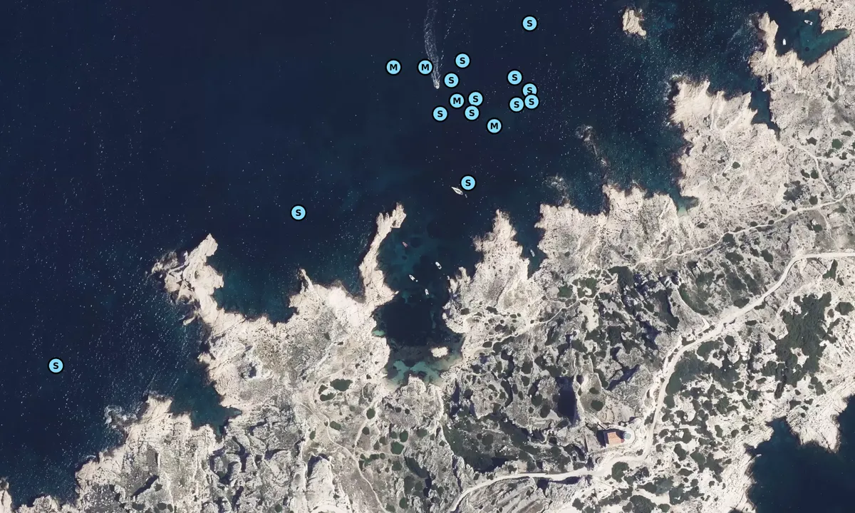 Satelite image of Calanque de la Crine