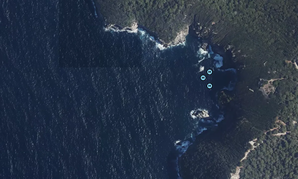 Satelite image of Calanque du Blé