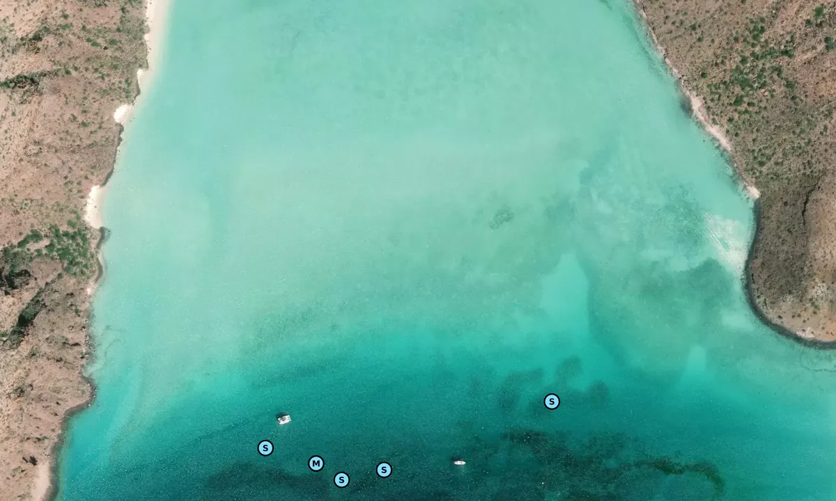 Satelite image of Caleta Partida