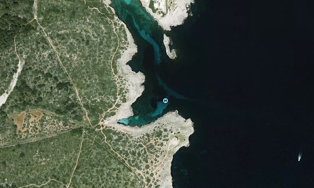 Satelite image of Caló Roig