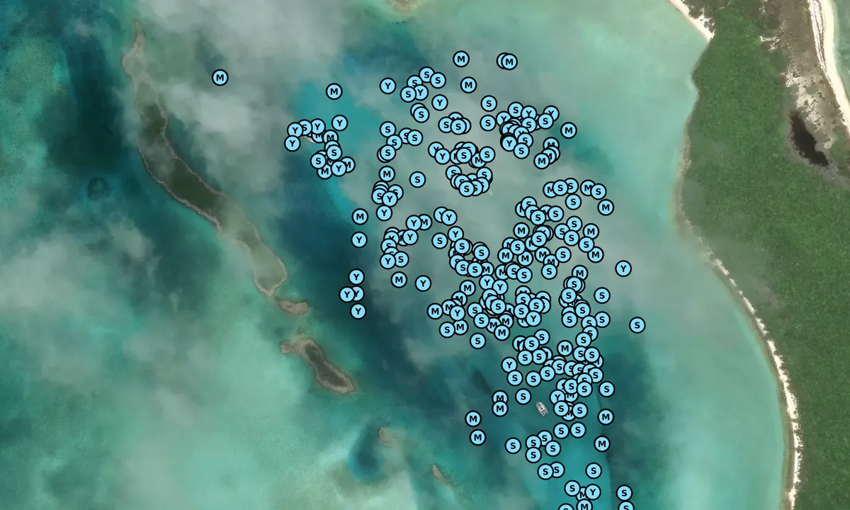 Satelite image of Cambridge Cay Mooring Field (Exuma Cays Land & Sea