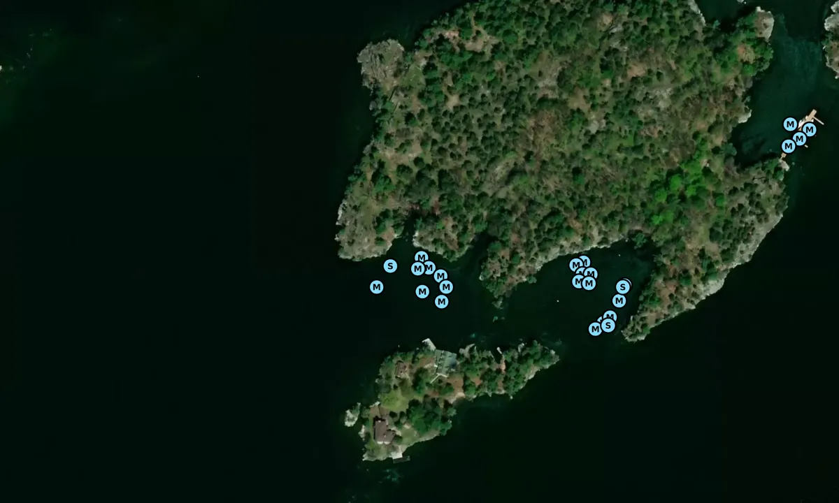 Satelite image of Camelot Island - SW