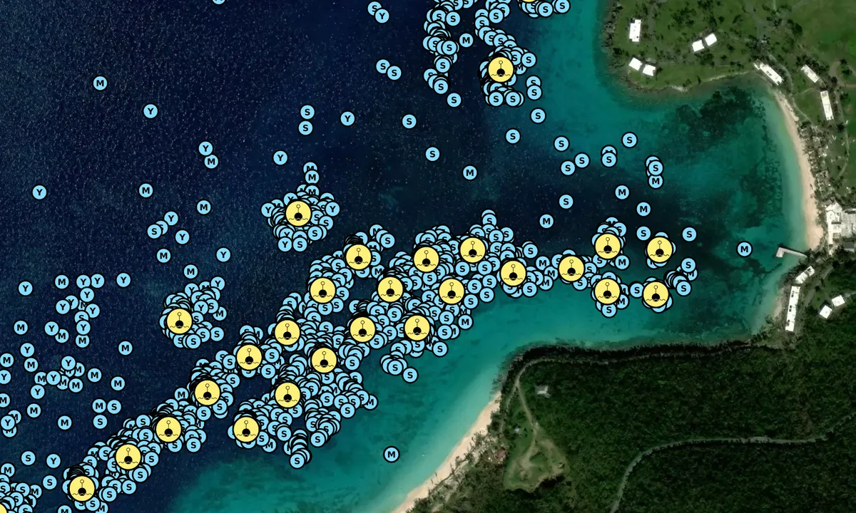 Satelite image of Caneel Bay