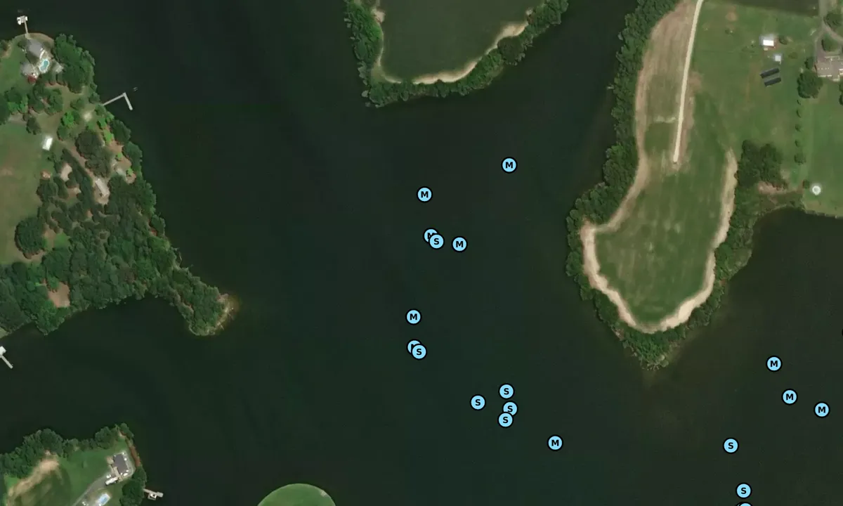 Satelite image of Canoe Neck Creek - 2