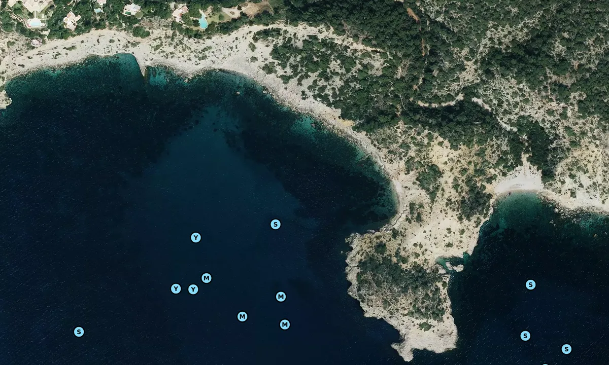 Satelite image of Cap Negret