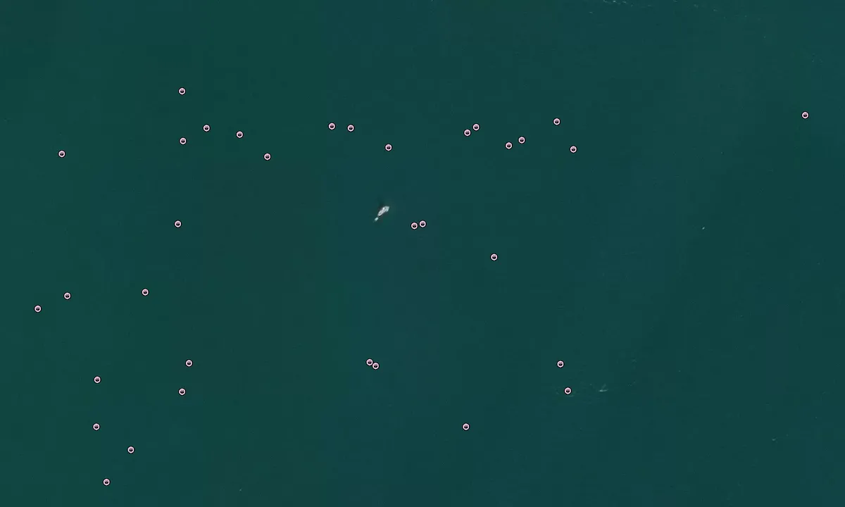 Flyfoto av Cap Sante