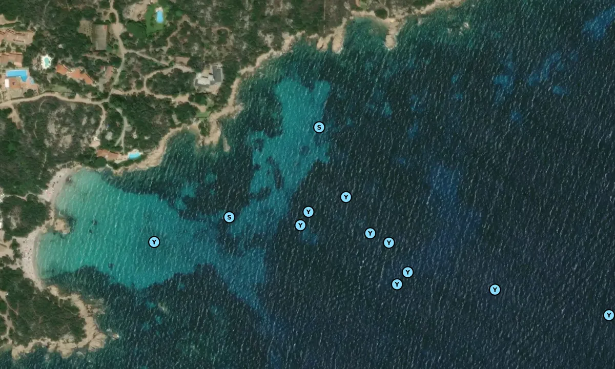 Satelite image of Capriccioli