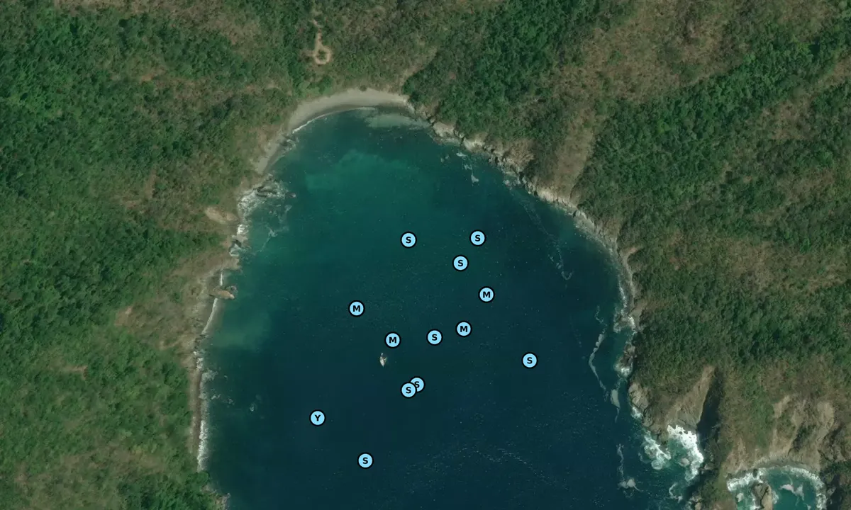 Satelite image of Carezal