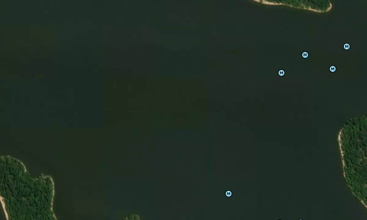 Satelite image of Carmack Bay