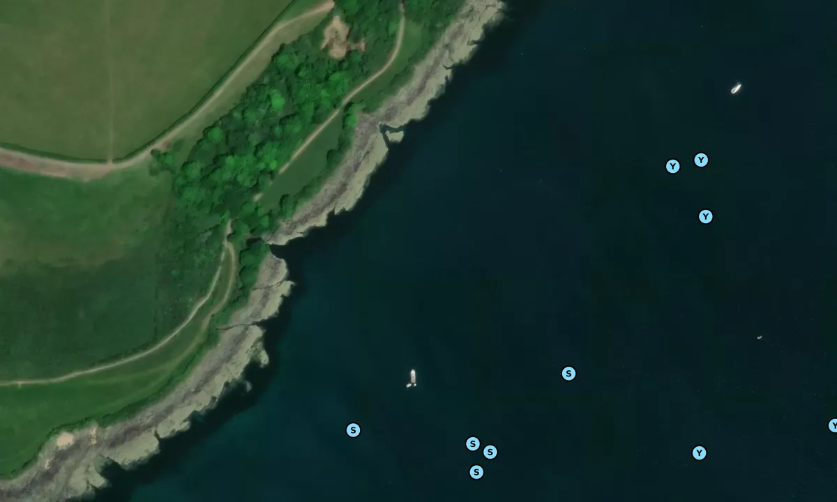 Satelite image of Carrick Roads