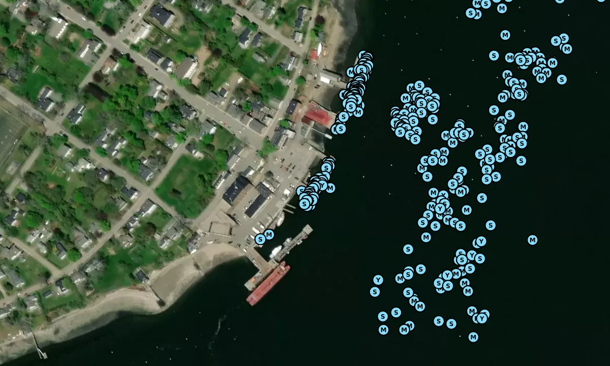 Satelite image of Castine Town Dock