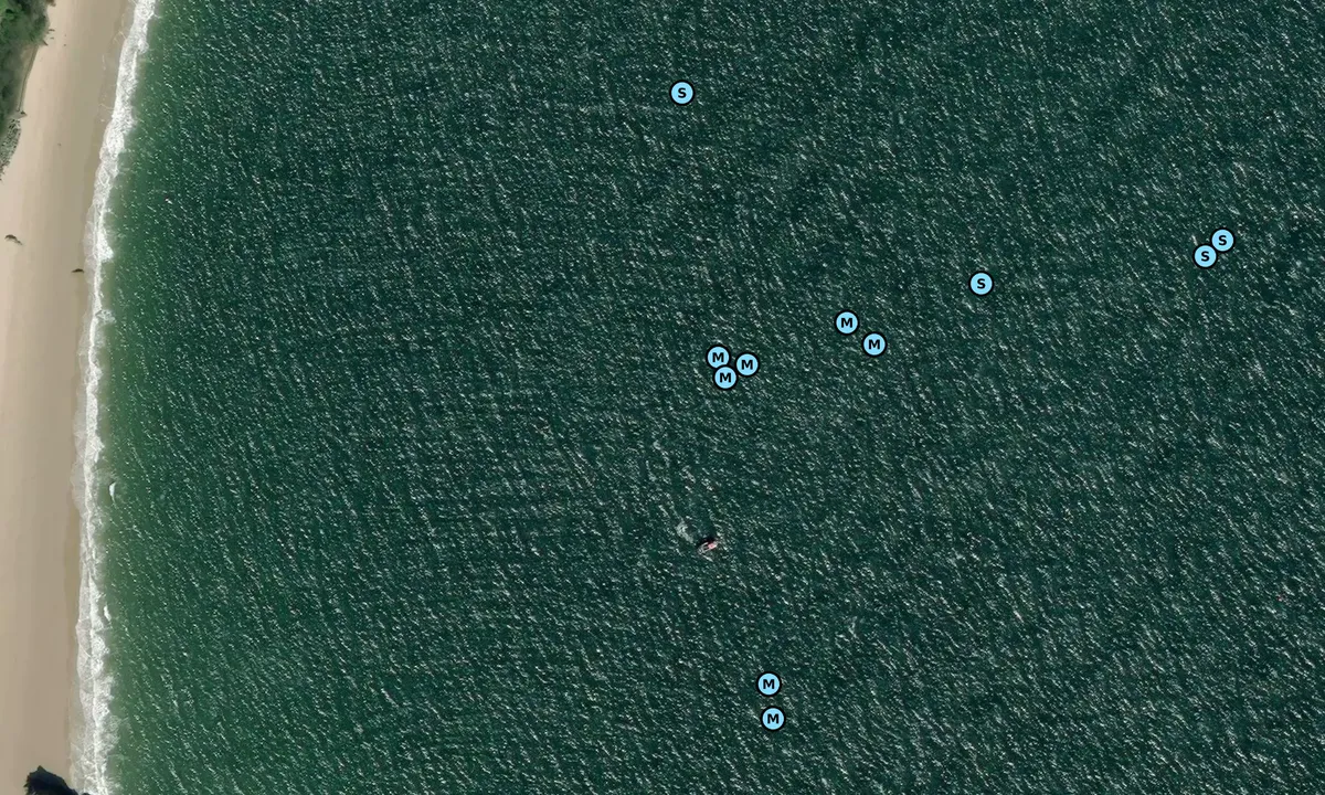 Satelite image of Castle Beach