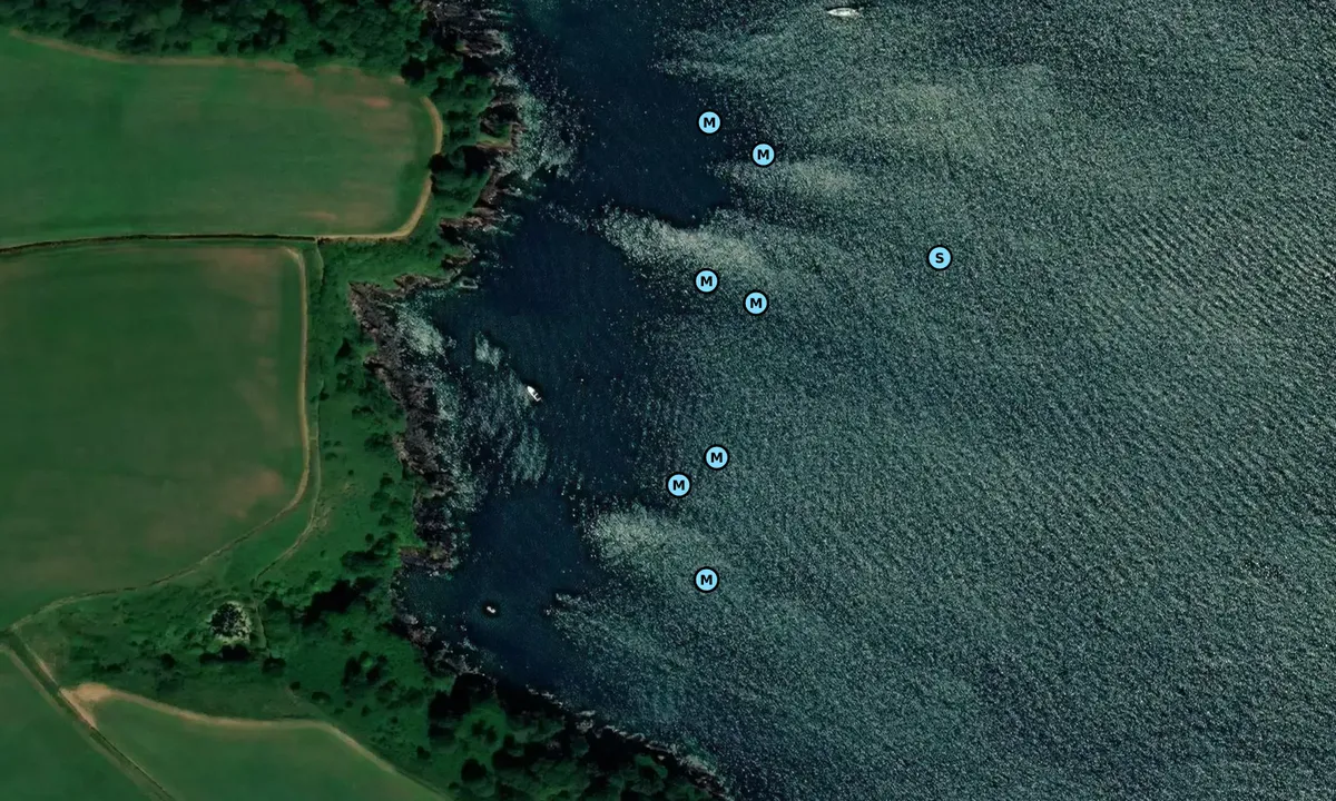 Satelite image of Castle beach