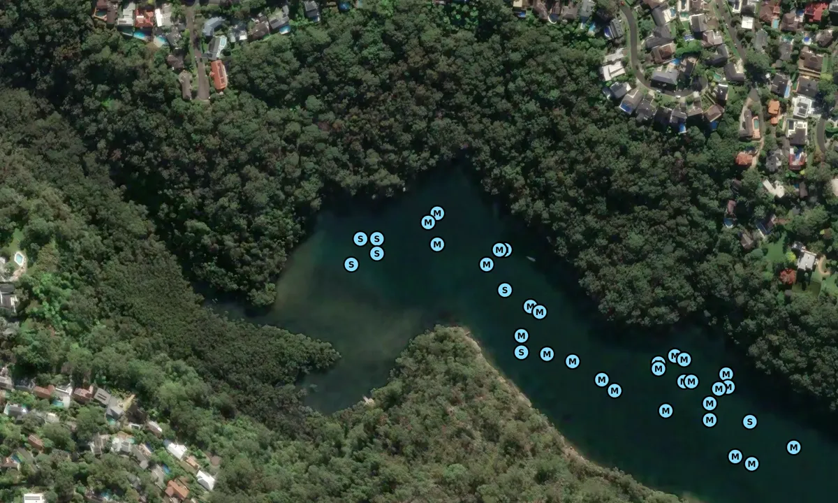 Satelite image of Castle Cove