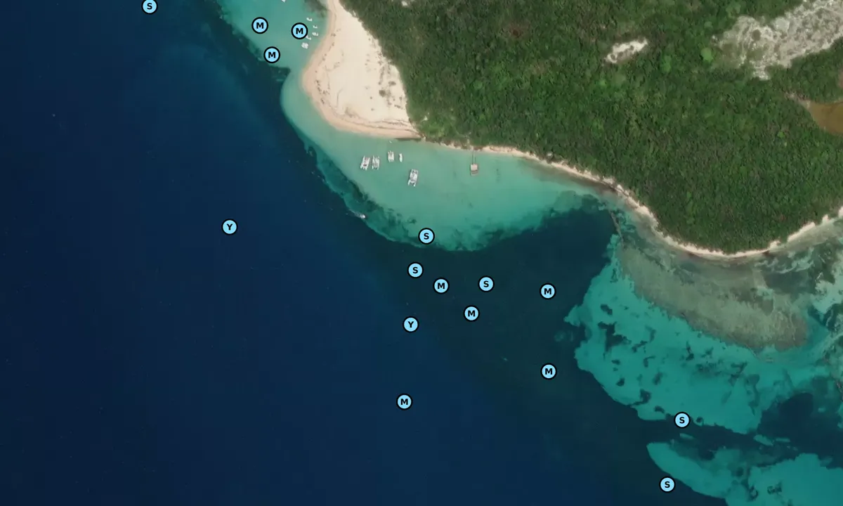 Satelite image of Cayo Icacos
