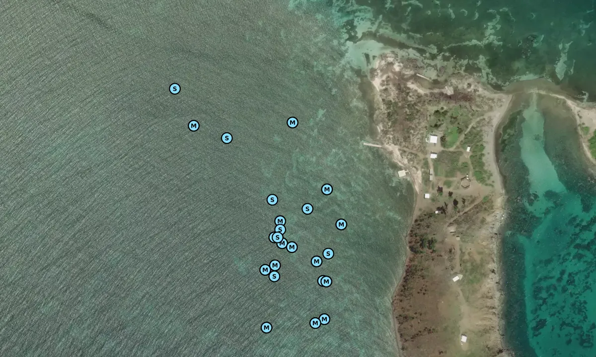Satelite image of Cayo Santiago