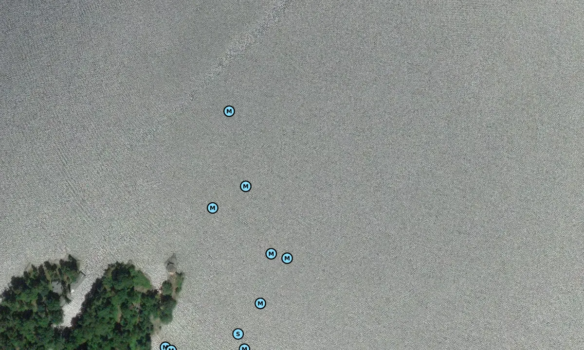 Satelite image of Cedar Island 1