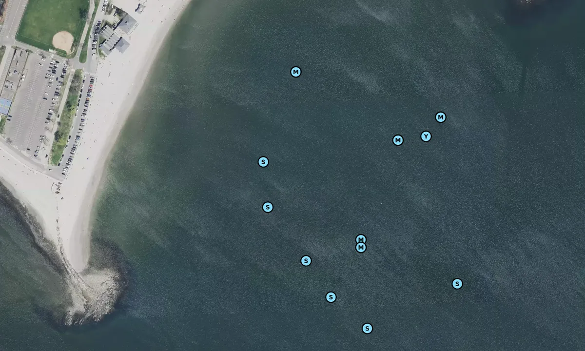 Satelite image of Cedar point