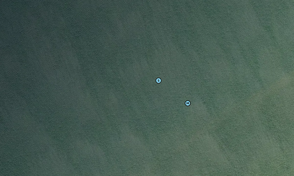 Satelite image of Cedar Tree