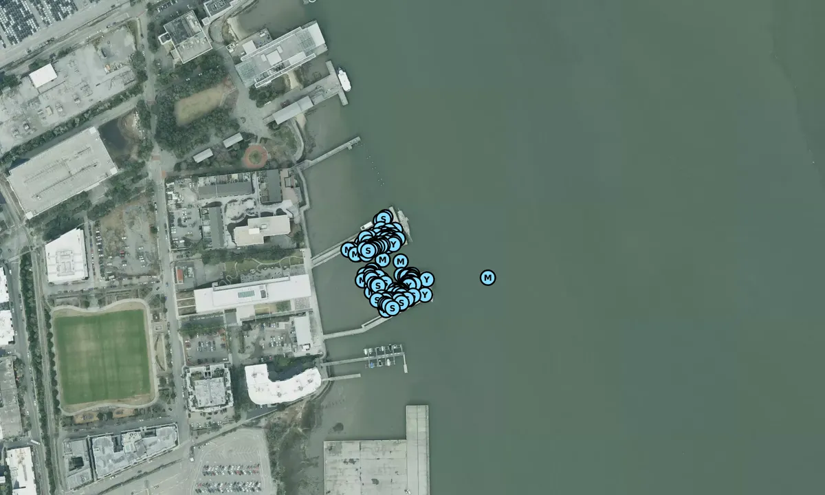 Satelite image of Charleston Maritime Center - South Carolina