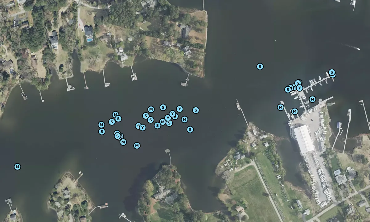Satelite image of Cheadle Point